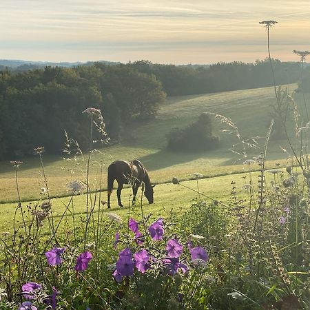 Domaine De Cazal - Gite 2 Pers Avec Piscine Au Coeur De 26 Hectares De Nature Preservee Saint-Cyprien  Exterior foto