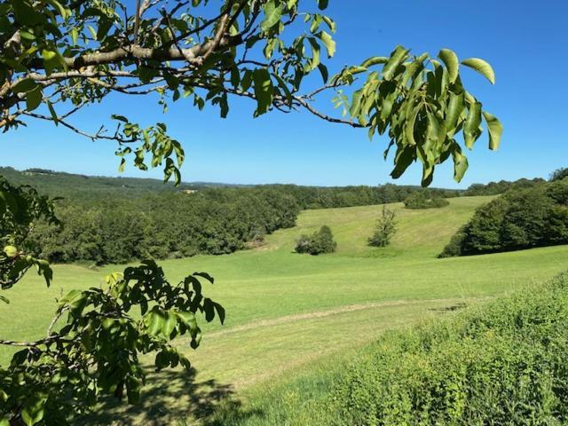 Domaine De Cazal - Gite 2 Pers Avec Piscine Au Coeur De 26 Hectares De Nature Preservee Saint-Cyprien  Exterior foto